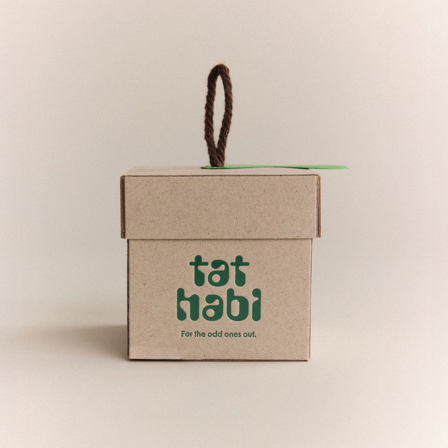 Mint Stone Soap--Tat Habi