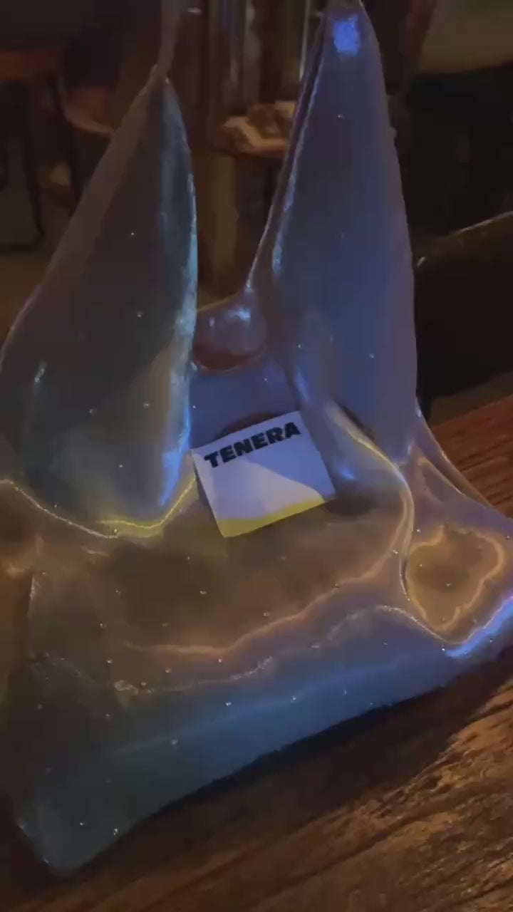 TENERA Plant-Based Satin Ballerina Shoulder Tote Bag